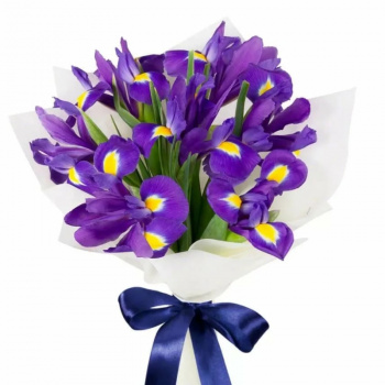 Букет из 11 ирисов